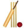 CRICKET GAMES image